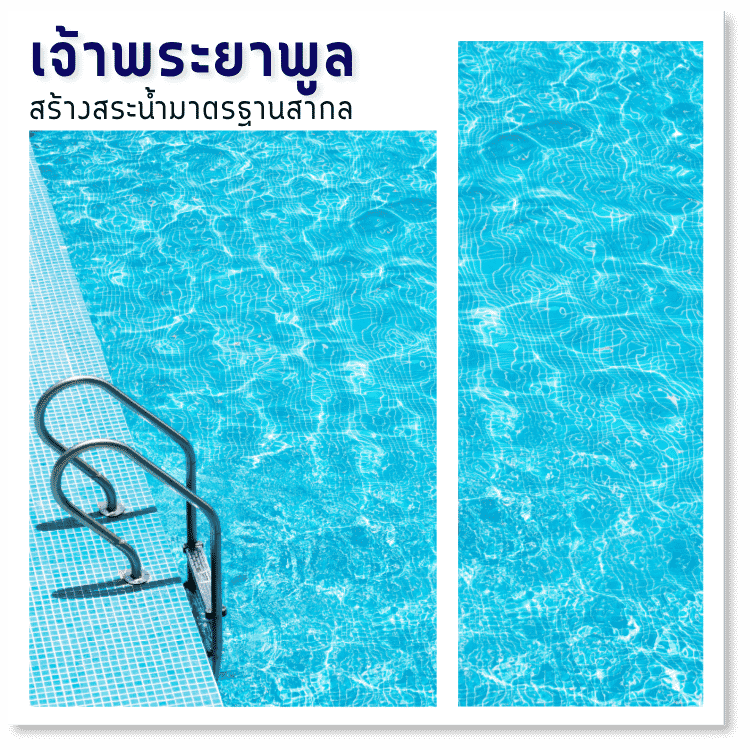 สร้างสระน้ำมาตรฐานสากล